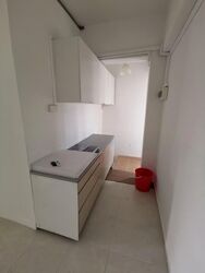 Thomson Grove (D26), Condominium #553719421